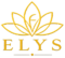 ELYS INTERNATIONAL INC